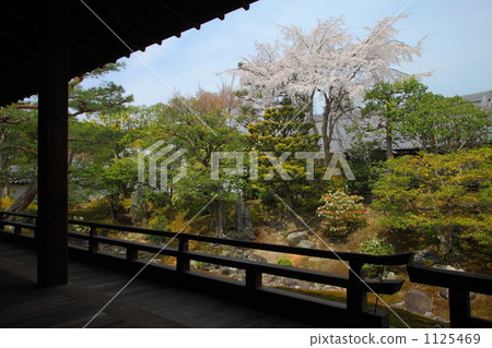 shoko temple, dry landscape garden, landscaping 1125469