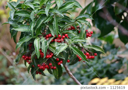 呼氣 呼氣 1125619