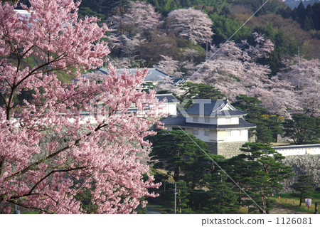 Kasaga castle in spring 1126081