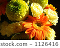 Shaded flowers 1126416