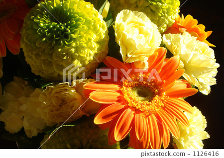 Shaded flowers Shaded flowers 1126416