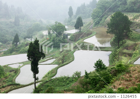米飯gamo飯露台 1126455