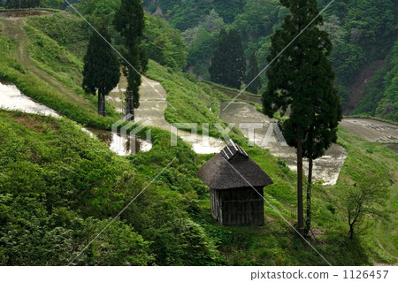 Matsunoyama是一個傾盆大米的露台 1126457