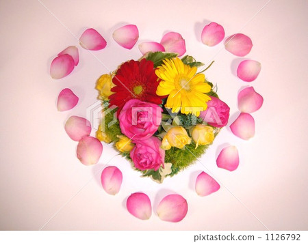 Heart petals 1126792