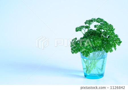 Refreshing morning Refreshing morning 1126842