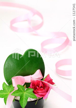 Heart shaped cactus and roses Heart shaped cactus and roses 1127541