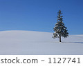 A tree 1127741