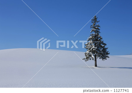 A tree A tree 1127741