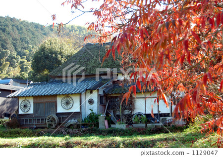 Yanagasaka Sone's old-fashioned private house 1129047