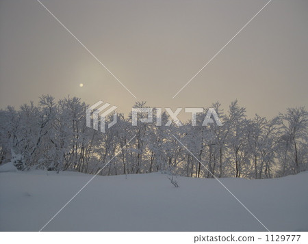 A tree A tree 1129777