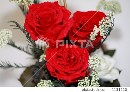 A red rose 1131220