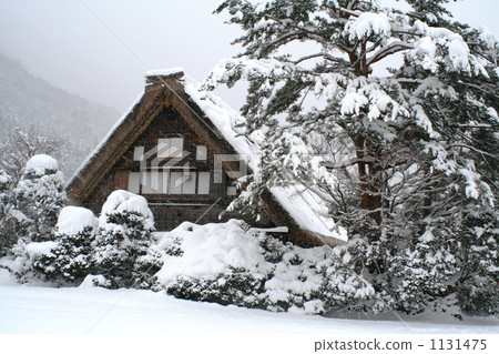Snow Shirakawa Town 1131475