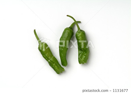 green pepper, green chili, capsicum 1131677