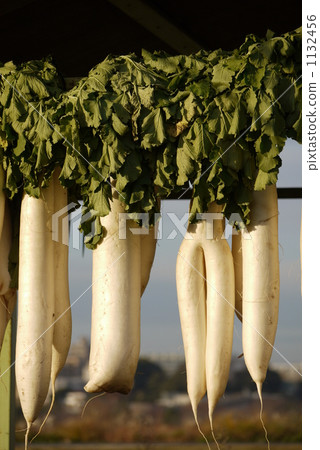 Dried radish Dried radish 1132456