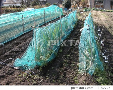 Measures against beast damage Measures against beast damage 1132726