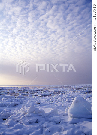 Drifting ice of 1133516