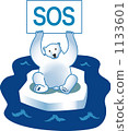 Polar bear SOS 1133601