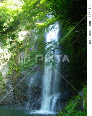 Waterfall of Minoh in summer 1134129