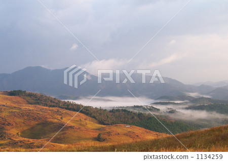 秋吉台晨霧 1134259