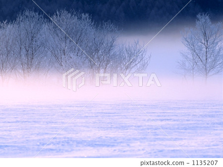 嚴寒的冬天的早晨 1135207