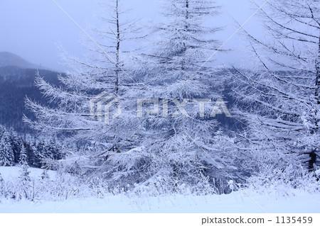 冬天的山 冬天的山 1135459