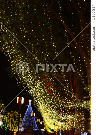 燈飾 霓虹燈 照明 1135534