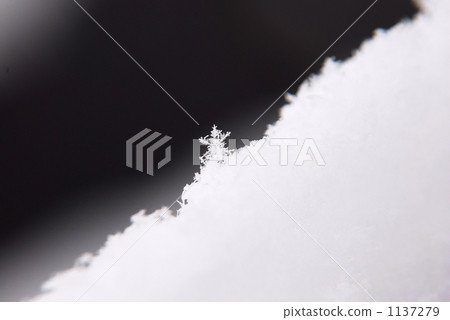 雪花 雪花 1137279