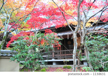 Konosuji的秋葉 1138631