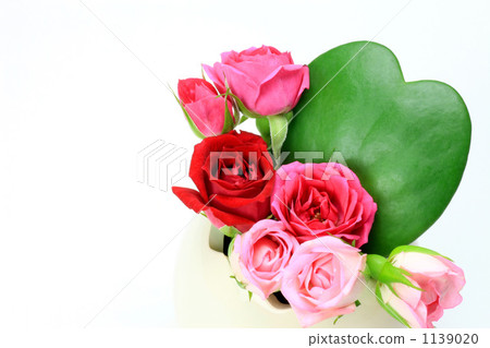 Heart shaped cactus and roses 1139020