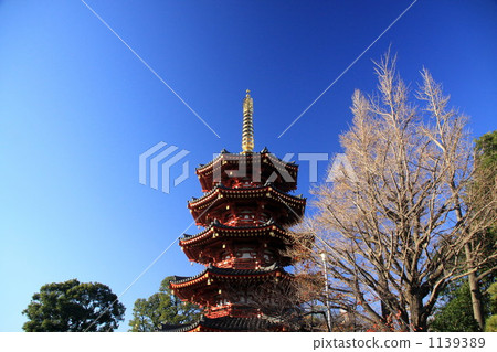 Ambassador Kawasaki 1139389