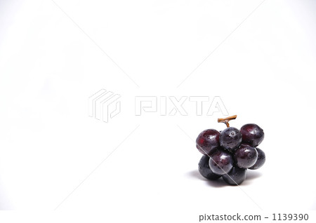 Grape stuben 1139390