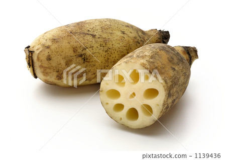 Wankom Wankom 1139436