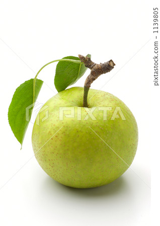 Twentieth Century Pear 1139805