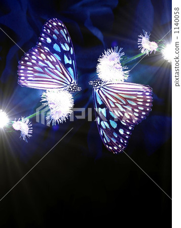 chestnut tiger butterfly, ceylon blue glassy tiger, butterfly 1140058