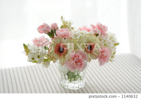 非洲菊的安排 非洲菊的安排 1140632