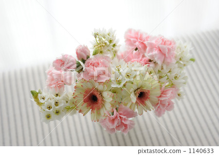 非洲菊的安排 非洲菊的安排 1140633