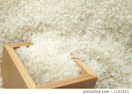 水稻影像 1141451