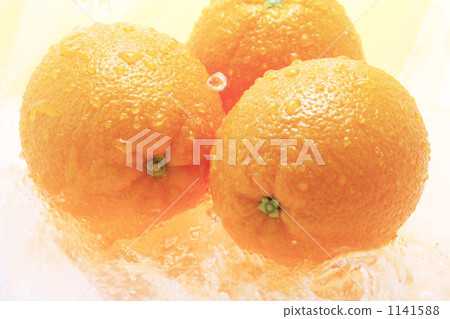 Orange  1141588