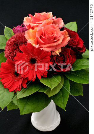 gerbera, gerberas, rose 1142776