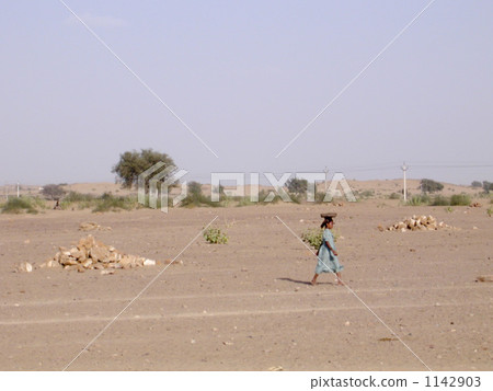 印度齋沙默爾 1142903