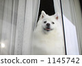 Cold winter 1145742