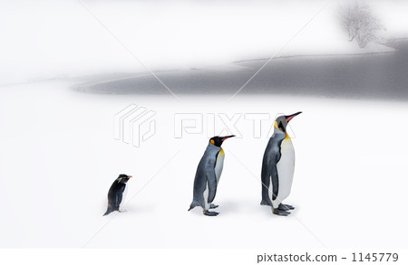 Penguin 1145779