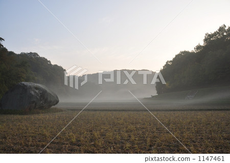 Morning mist smoking Early morning walk Morning mist smoking Early morning walk 1147461