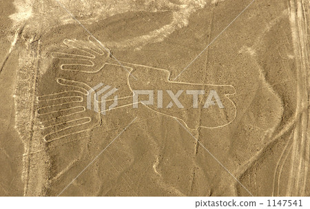 納斯卡風景 1147541