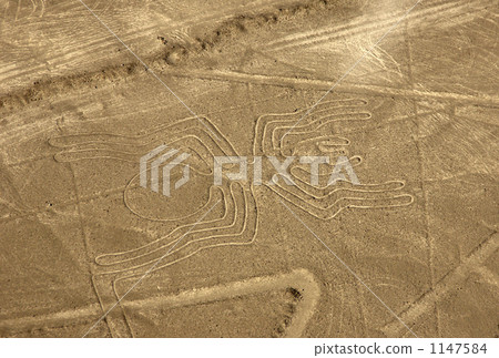 Nasca's landmark spider 1147584