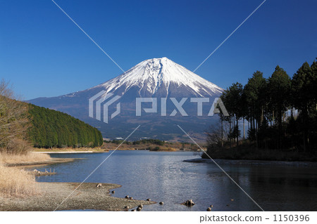 Mount Fuji and Lake Tanuki Mount Fuji and Lake Tanuki 1150396