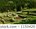 Rice terrace of Iiyama Fukushima 1150426