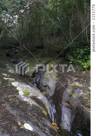 八丈島的鍋廳 1151778