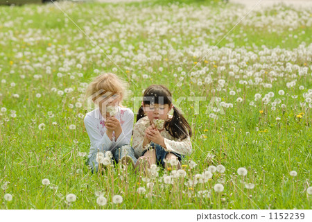 Takarena 0249 1152239