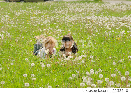 Takarena 0250 1152240